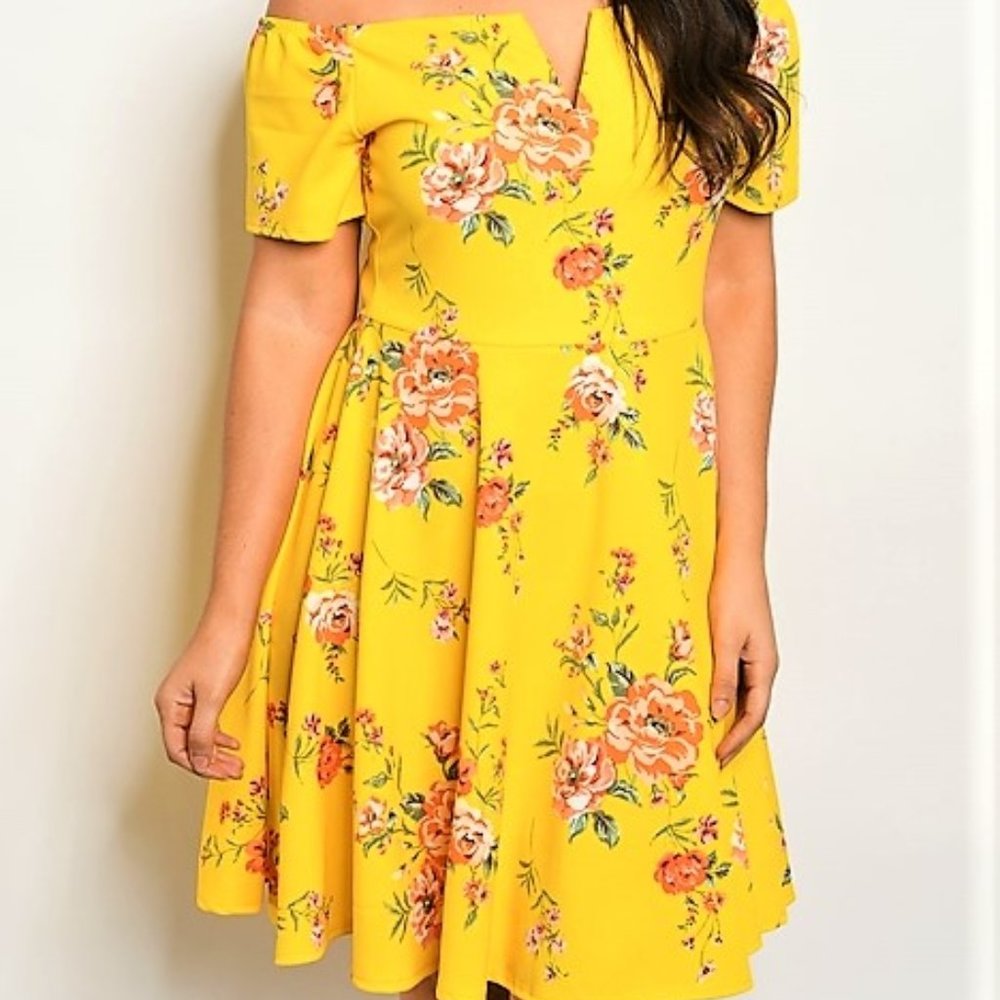 Plus Size Fit And Flare Floral Short Dress Size